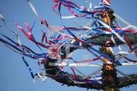 MG07_Maibaum07_0118.JPG