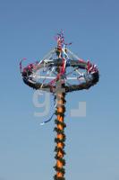 MG07_Maibaum08_0108.JPG
