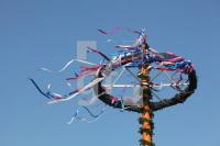MG07_Maibaum09_0103.JPG