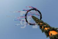 MG07_Maibaum10_0193.JPG