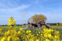 MG09_Megalith04_0197.JPG