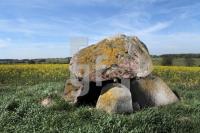 MG09_Megalith06_0191.JPG