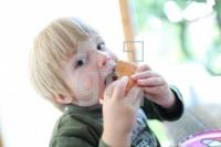 MJ15_Burger01_2008.JPG