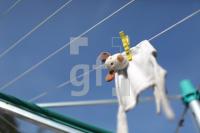 MJ21_Teddy08_2044.JPG
