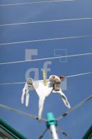 MJ21_Teddy09_2048.JPG