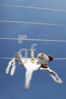 MJ21_Teddy10_2051.JPG