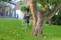 MK03_Baum01_2068.JPG