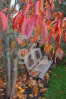 MM05_Garten03_2024.JPG