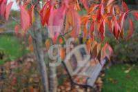 MM05_Garten09_2025.JPG