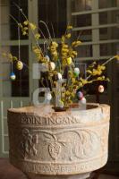 NF11_Langeness22_1300.jpg