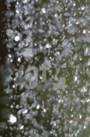 NI05_CroXX_0781.jpg