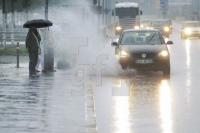 NI18_Regen03_0142.JPG