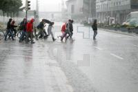 NI18_Regen04_0170.JPG