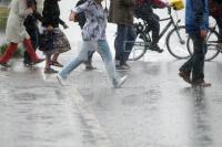 NI18_Regen05_0181.JPG