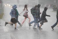 NI18_Regen06_0108.JPG
