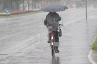 NI18_Regen08_0103.JPG