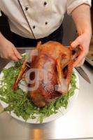 NL30_Gans03_045.JPG