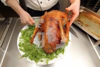 NL30_Gans04_043.JPG