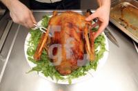 NL30_Gans05_041.JPG