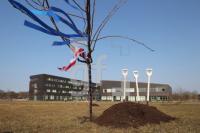 OF09_Baum02_0168.JPG