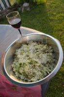 OI06_Somm03_0746.jpg