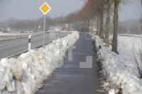 TE06_Ra03_0101.JPG