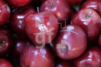 UL03_De05_0138.JPG