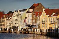 ZAM29_So_012158.JPG