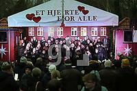 ZAN13_Ap_012182.JPG