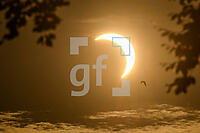 ZCJ12_Sf_0110571.JPG