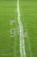 EK06_Linie_0703.jpg