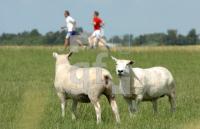 FI24_HerrenkoogTriathlon30_0174.JPG