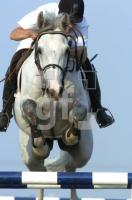 GJ21_Reiten01_0186.jpg