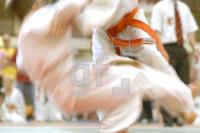 HH25_Judo03_0179.jpg