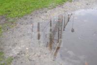 HN16_Regen01_0120.JPG