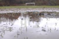 HN16_Regen03_0144.JPG