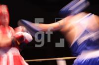 KK19_Boxen03_0100.JPG