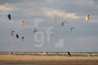 LI24_Ording06_0160.JPG