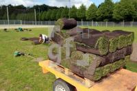 MH10_Rollrasen01_0130.JPG