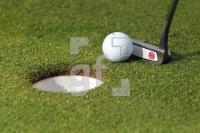 MI21_Golf12_0174.JPG