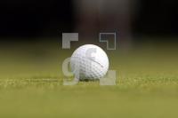 MI21_Golf19_0102.JPG