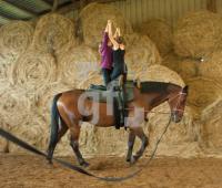 MK05_Hop03_0740.jpg