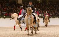 ND12_Holsten01_0277.jpg