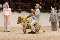 ND12_Holsten05_0272.jpg