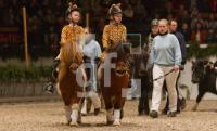 ND12_Holsten06_0285.jpg