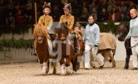 ND12_Holsten07_0279.jpg