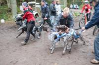 NM03_Hund05_0757.jpg