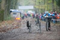 NM03_Hund07_0761.jpg