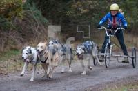 NM03_Hund10_0760.jpg