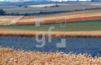 AA01_Landwirtschaft07_0700.jpg